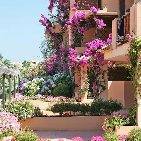 Bougainvillae 162s * Porto Cervo